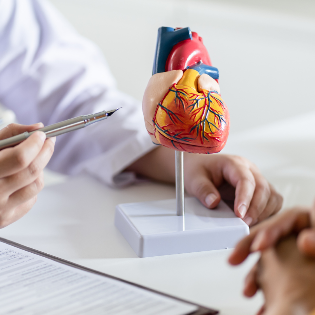 cardiologia (1)